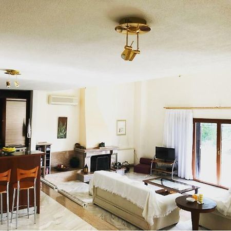 Bright & Spacious Seaview Villa Siviri Ngoại thất bức ảnh