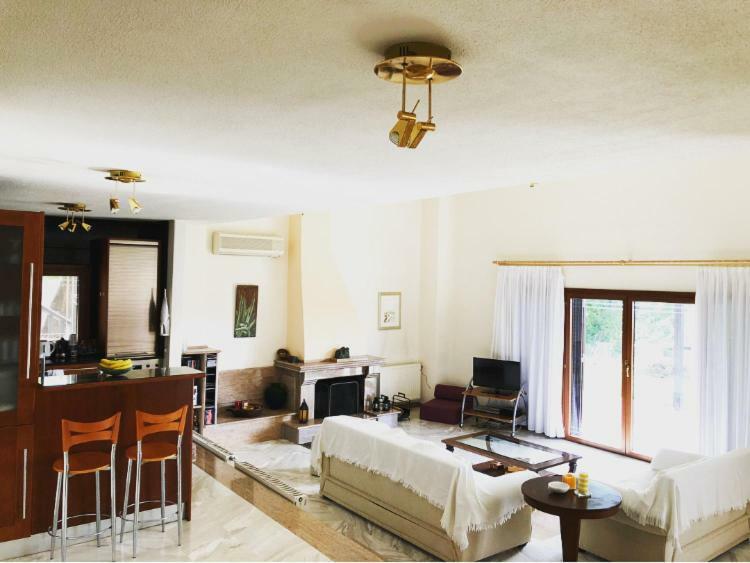 Bright & Spacious Seaview Villa Siviri Ngoại thất bức ảnh