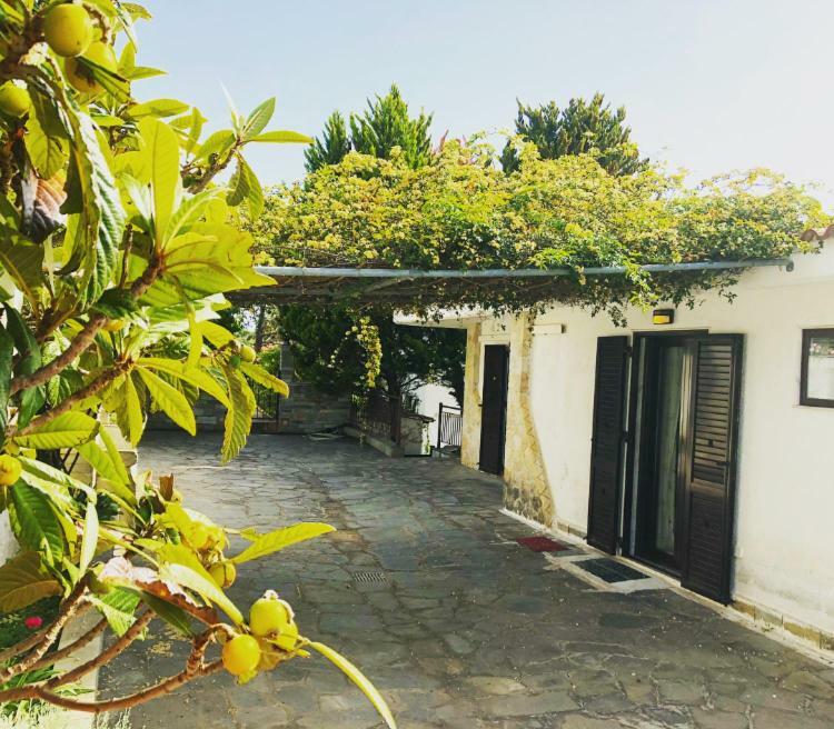 Bright & Spacious Seaview Villa Siviri Ngoại thất bức ảnh